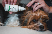 Načíst obrázek do prohlížeče Galerie, Ušní kapky TraumaPet® oto Ag