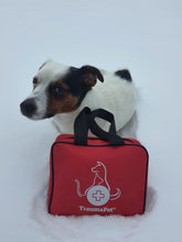 Načíst obrázek do prohlížeče Galerie, Lékárnička TraumaPet® pro zvířecí miláčky domů a na cesty