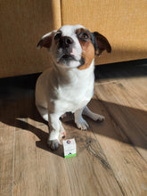 Načíst obrázek do prohlížeče Galerie, Ústní gel na podporu hojení TraumaPet® oral gel Ag 10 ml