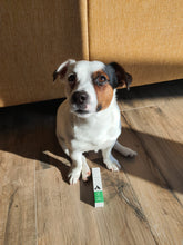 Načíst obrázek do prohlížeče Galerie, Gel na rány TraumaPet® gel Ag