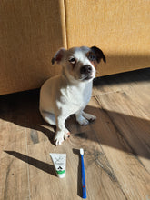 Načíst obrázek do prohlížeče Galerie, Zubní pasta TraumaPet® stoma Ag