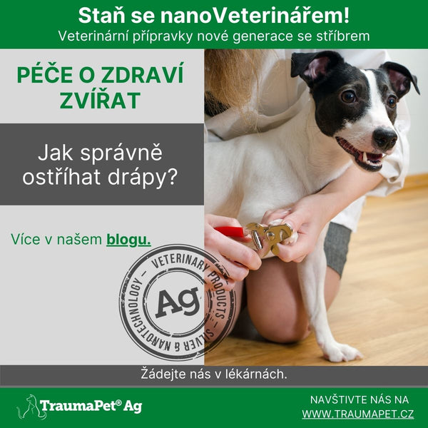 JAK OSTŘÍHAT PSOVI DRÁPY