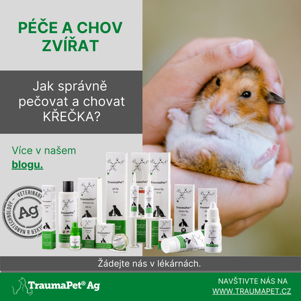JAK SPRÁVNĚ CHOVAT A PEČOVAT O KŘEČKA