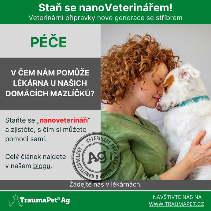 V čem nám pomůže lékárna u našich domácích mazlíčků?