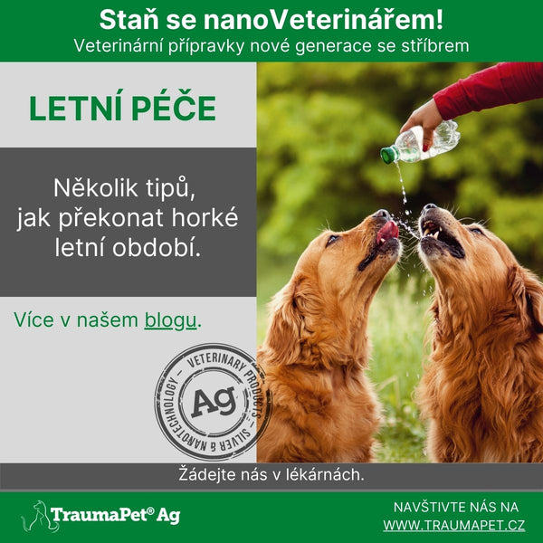 LETNÍ PÉČE O DOMÁCÍ MAZLÍČKY