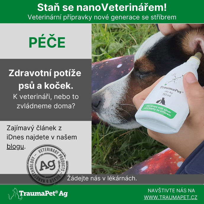 Zdravotní potíže psů a koček – k veterináři, nebo to zvládneme doma?