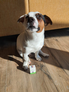 Ústní gel na podporu hojení TraumaPet® oral gel Ag