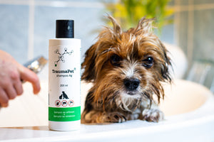 Šampón TraumaPet® shampoo Ag